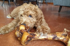 Ostrich Pet Treats