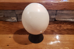 Ostrich Egg Shell (drained/clean) Free Shipping!